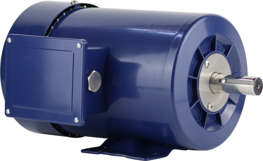 3 Phase Motors