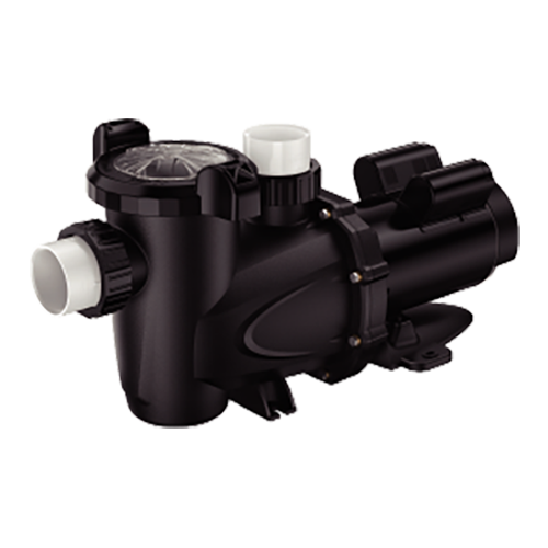 Two Speed NEMA Pool Pumps